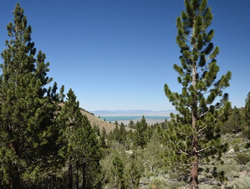 View of Mono Lake from Parker Lake Trail