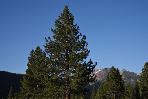 View of mountains from our campsite
