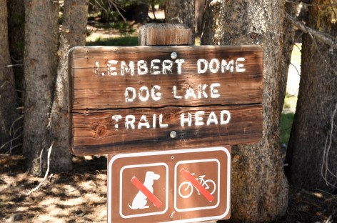 lembert-dome-dog-lake-trailhead