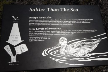 salteir-than-sea