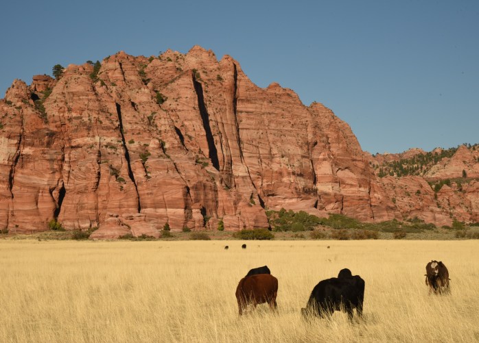 kolob-terrace-road-2