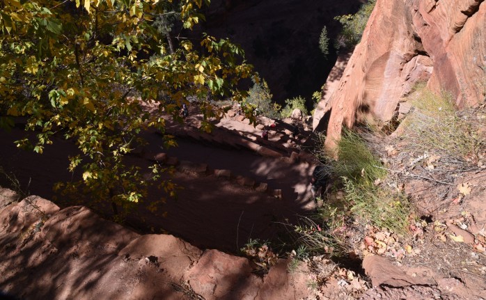 looking-down-on-walters-wiggles