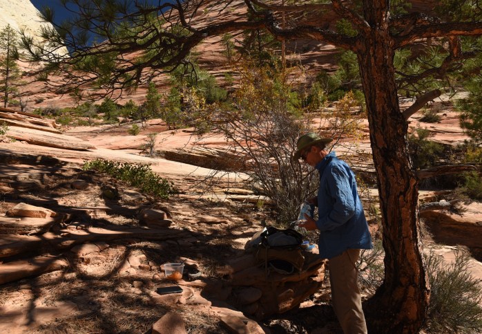 lunch-near-petroglyphs