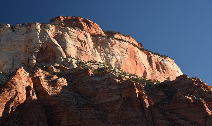 morning-light-in-zion