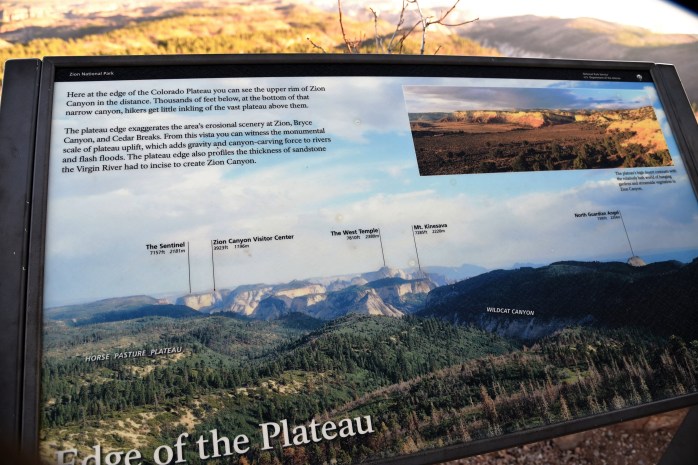 schematic-of-plateau