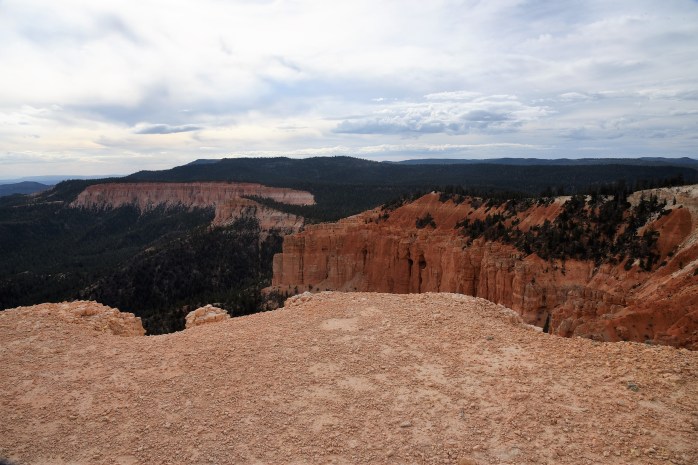 top-of-ridge-on-bristlecone-pine-loop-trail