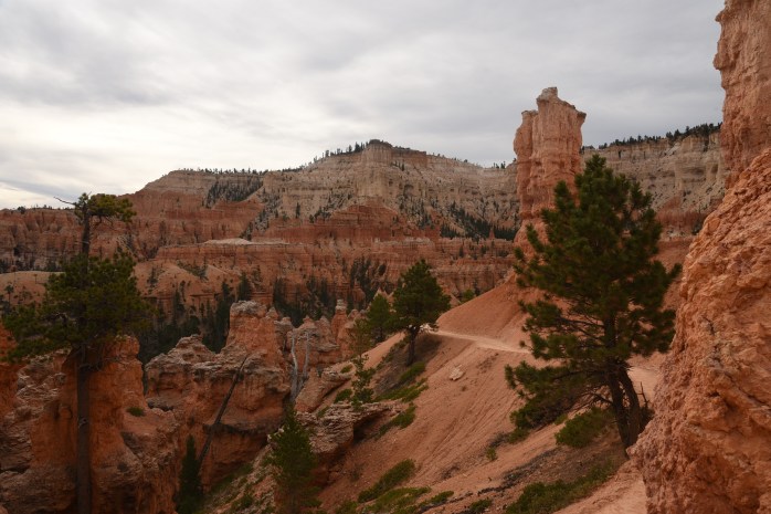 trail-at-bryce