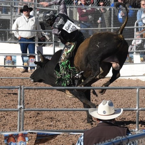 bull-riding-1