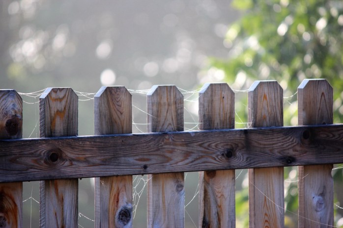 garden-fence