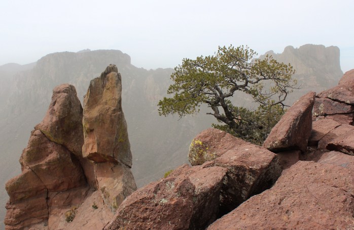 Lost Mine Trail 2014