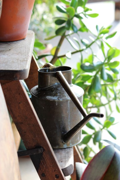 watering-can