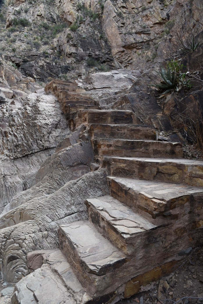 Window Trail the canyon section