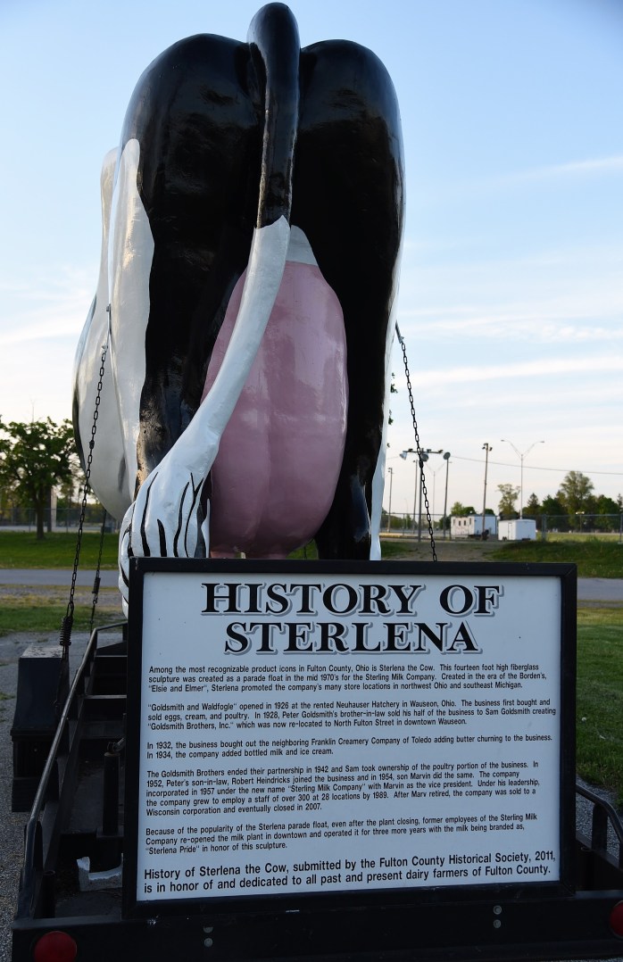 Udderly amazing history