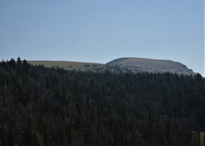 View of summit from trail