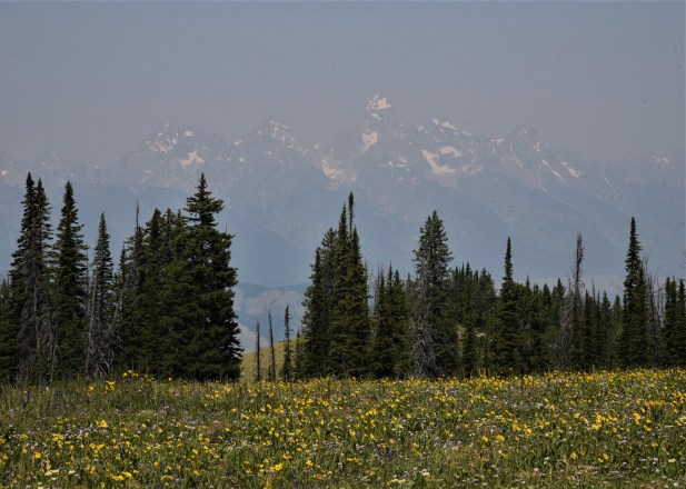 View of Tetons from trail