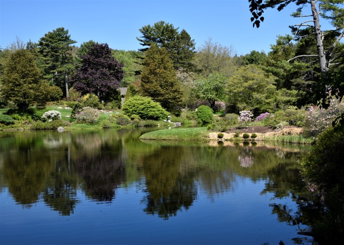 Asticou Azalea Garden