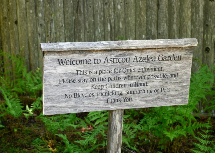 Asticou Garden sign (1 of 1)