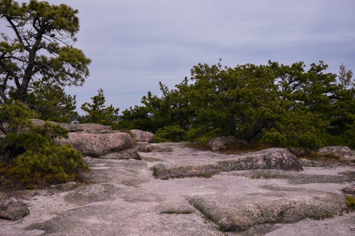 Gorham summit trail (1 of 1)