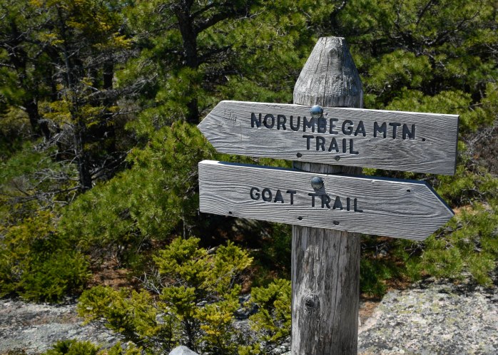 Norumbega trail sign (1 of 1)