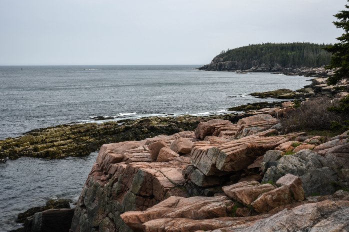 Ocean Path view (1 of 1)