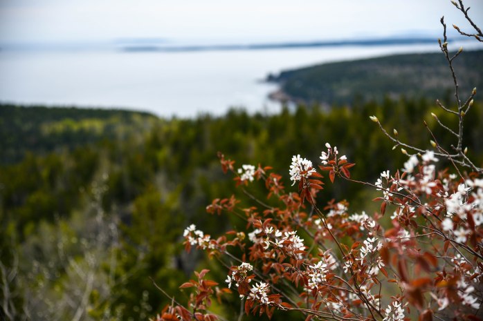 view from Gorham summit (1 of 1)