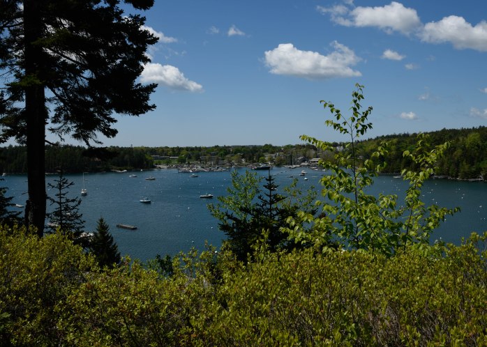 view of northeast harbor (1 of 1)