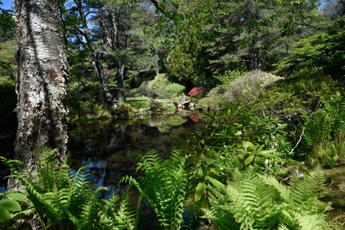 view of pond (1 of 1)