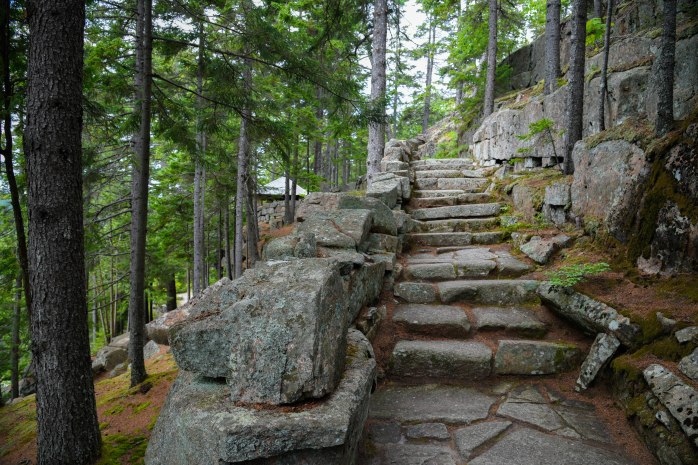 Asticou Terrace ascent (1 of 1)