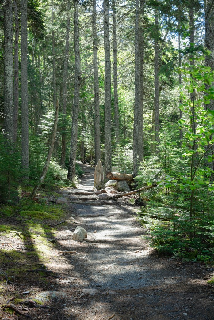 Bubble Brook Trail (1 of 1)