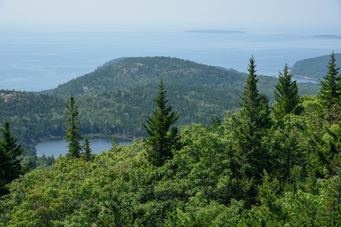 Champlain Bowl view 2 (1 of 1)