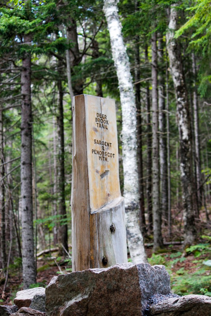 Deer Brook Trailhead (1 of 1)