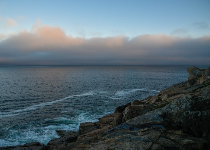 Fog bank Day 15 (1 of 1)