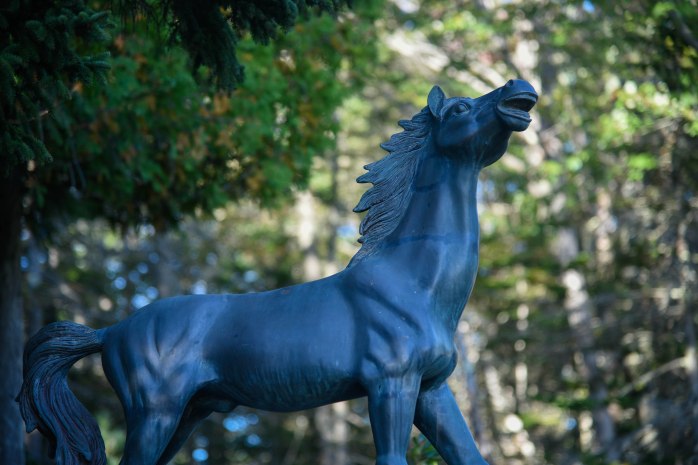 Horse statue near Day Mountain (1 of 1)