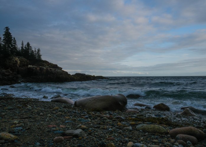 LIttle Hunters Beach (1 of 1)