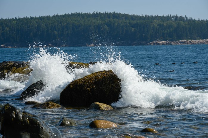 Lynn's Cove Rocks and Water (1 of 1)