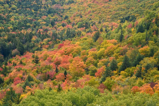 Connors Nubble views 2 (1 of 1)