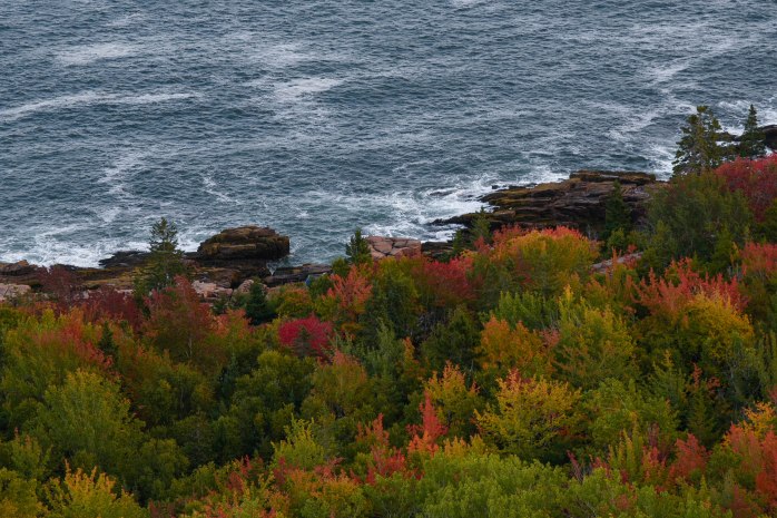Gorham Mountain ocean view (1 of 1)