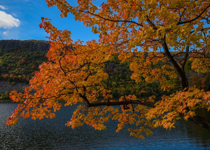 Jordan Pond foliage 4 (1 of 1)