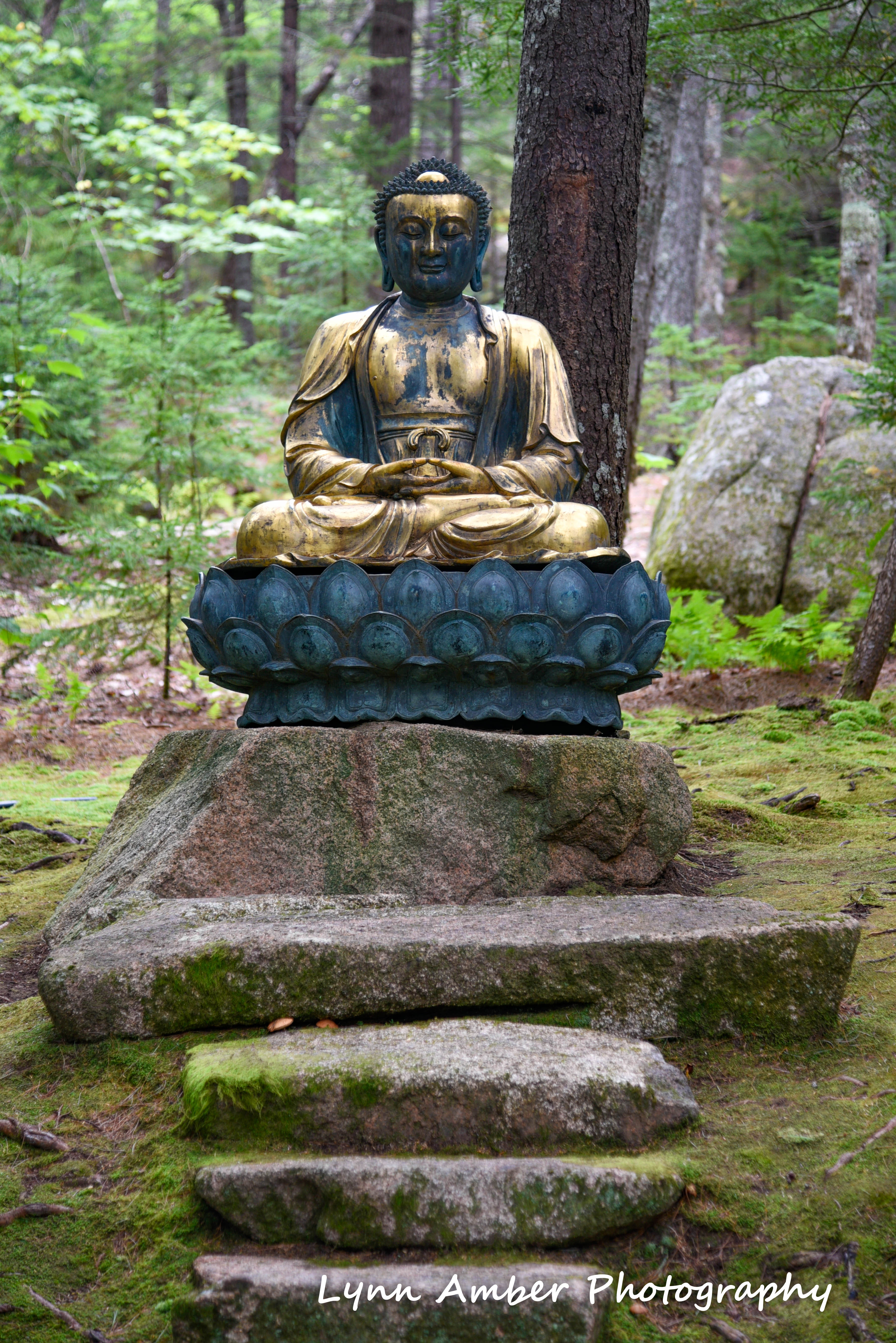 abby aldrich rockefeller garden mdi 2018 (1 of 1)