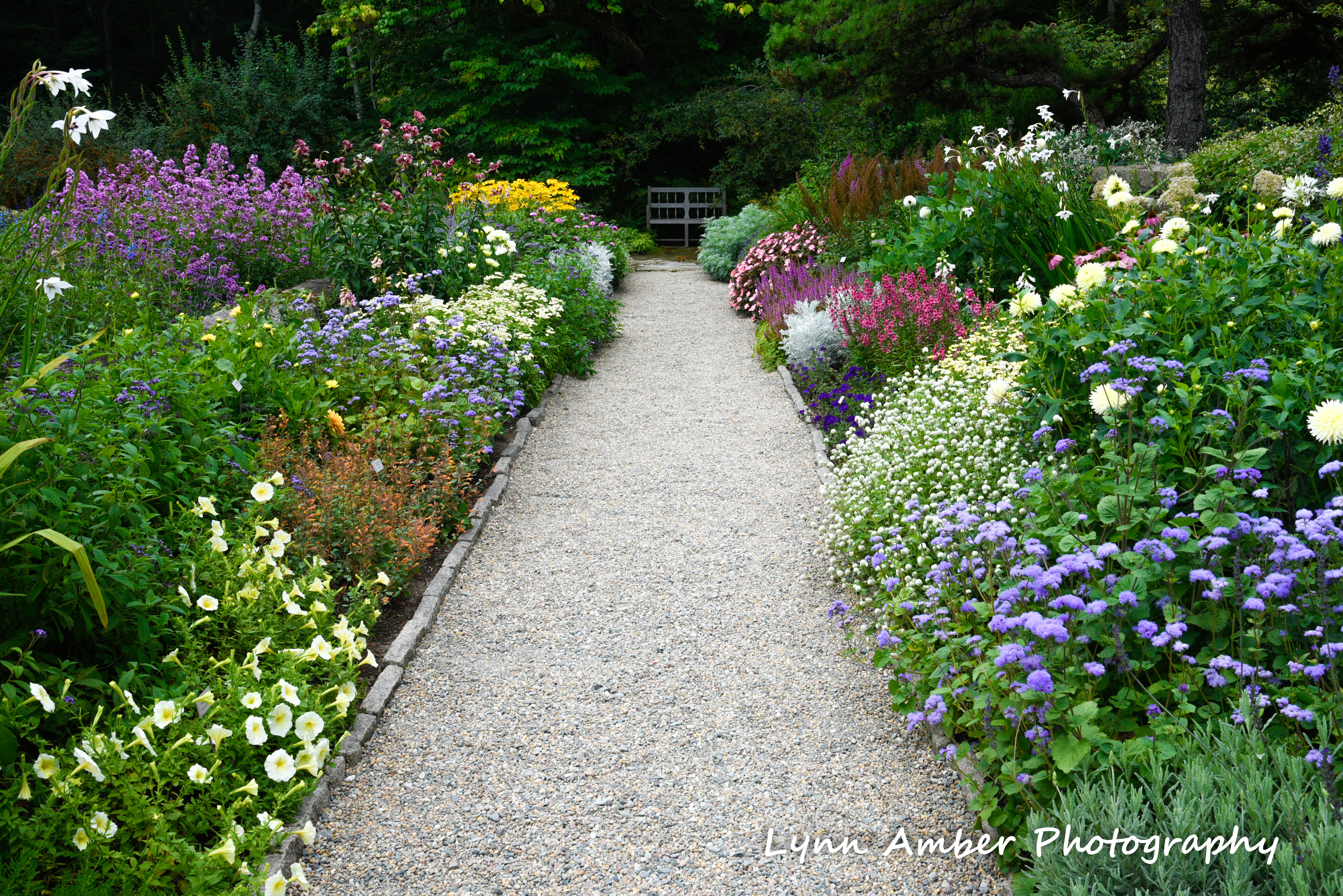 abby aldrich rockefeller garden mdi 2018 (2) (1 of 1)