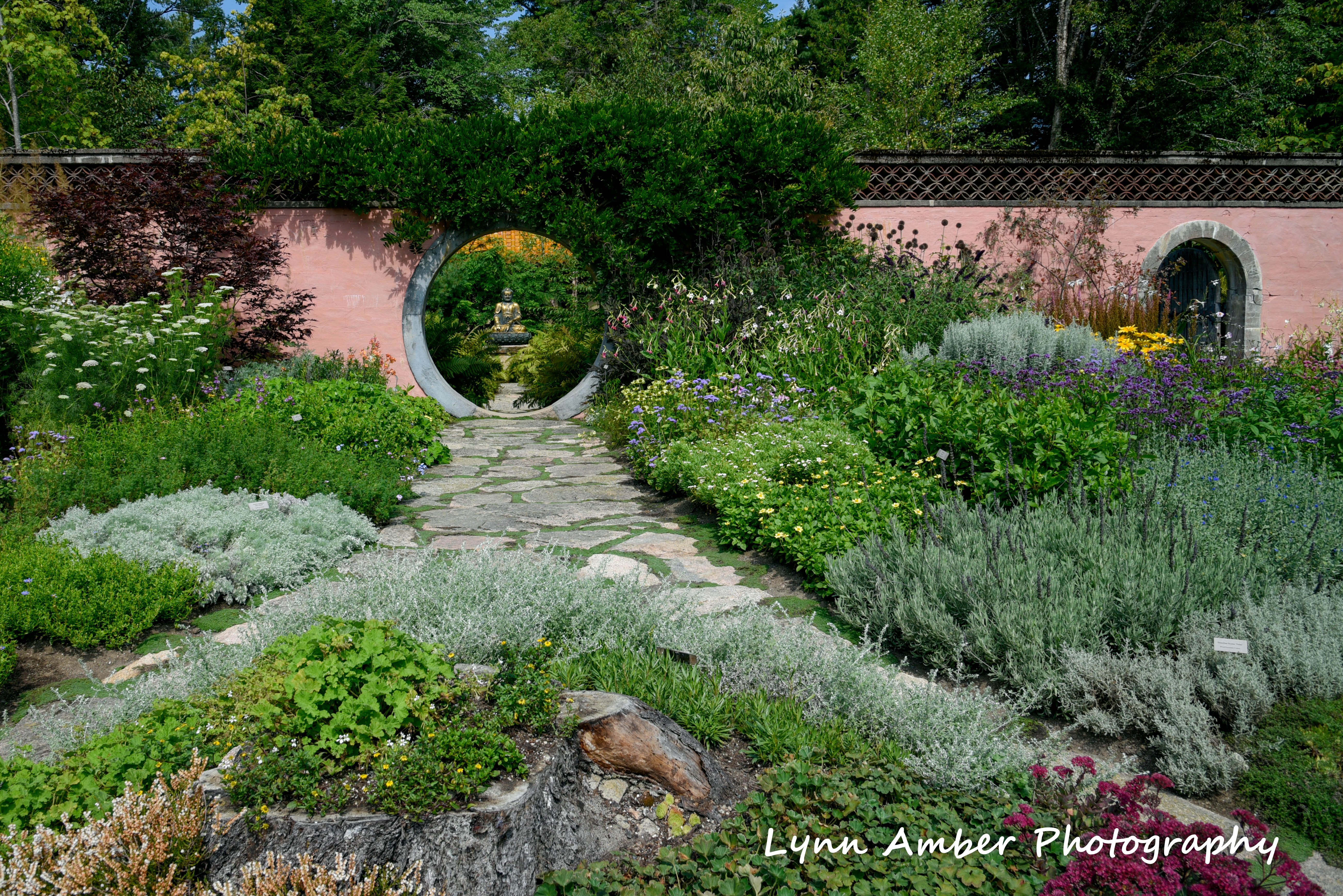 abby aldrich rockefeller garden mdi 2018 (6) (1 of 1)