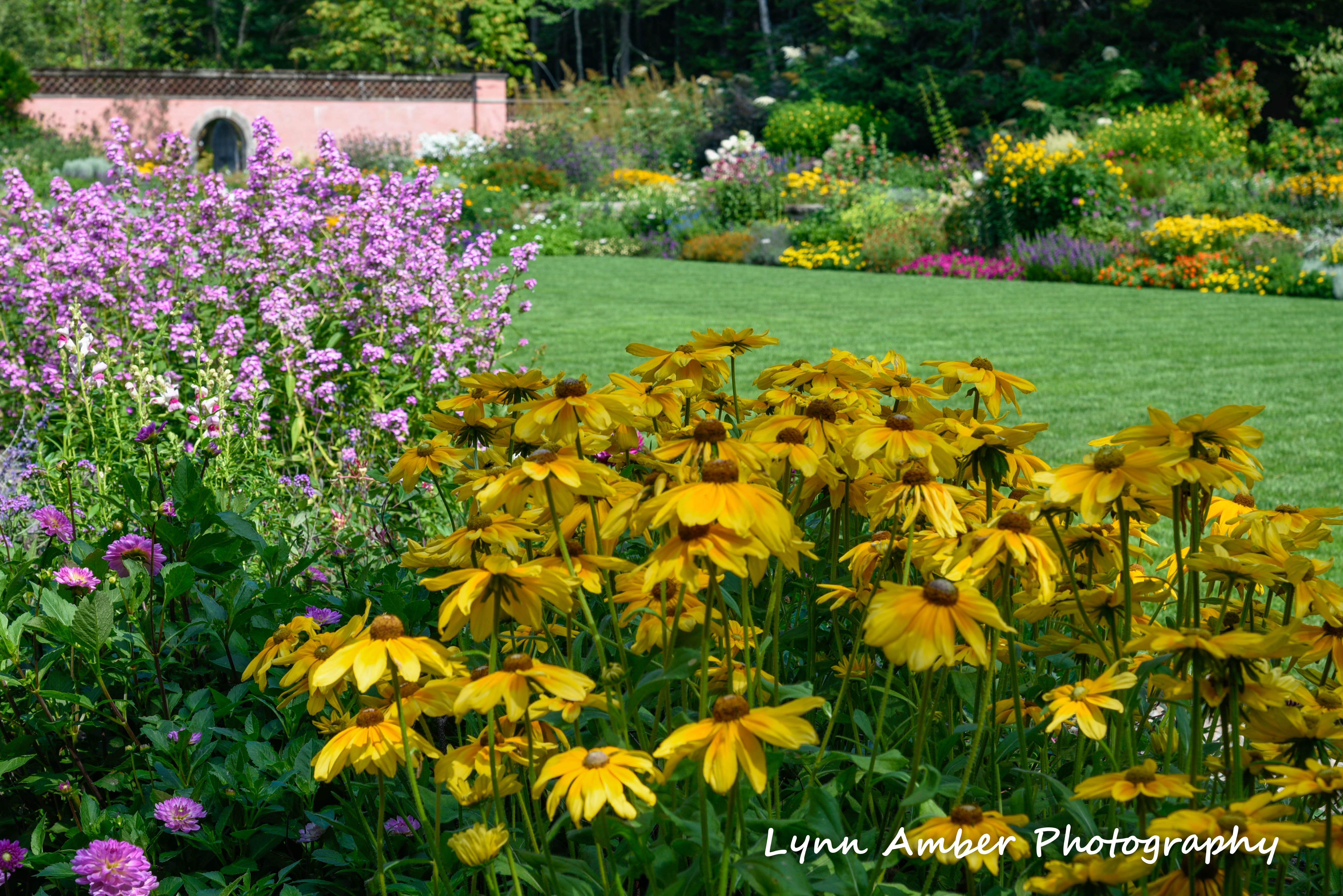abby aldrich rockefeller garden mdi 2018 (7) (1 of 1)