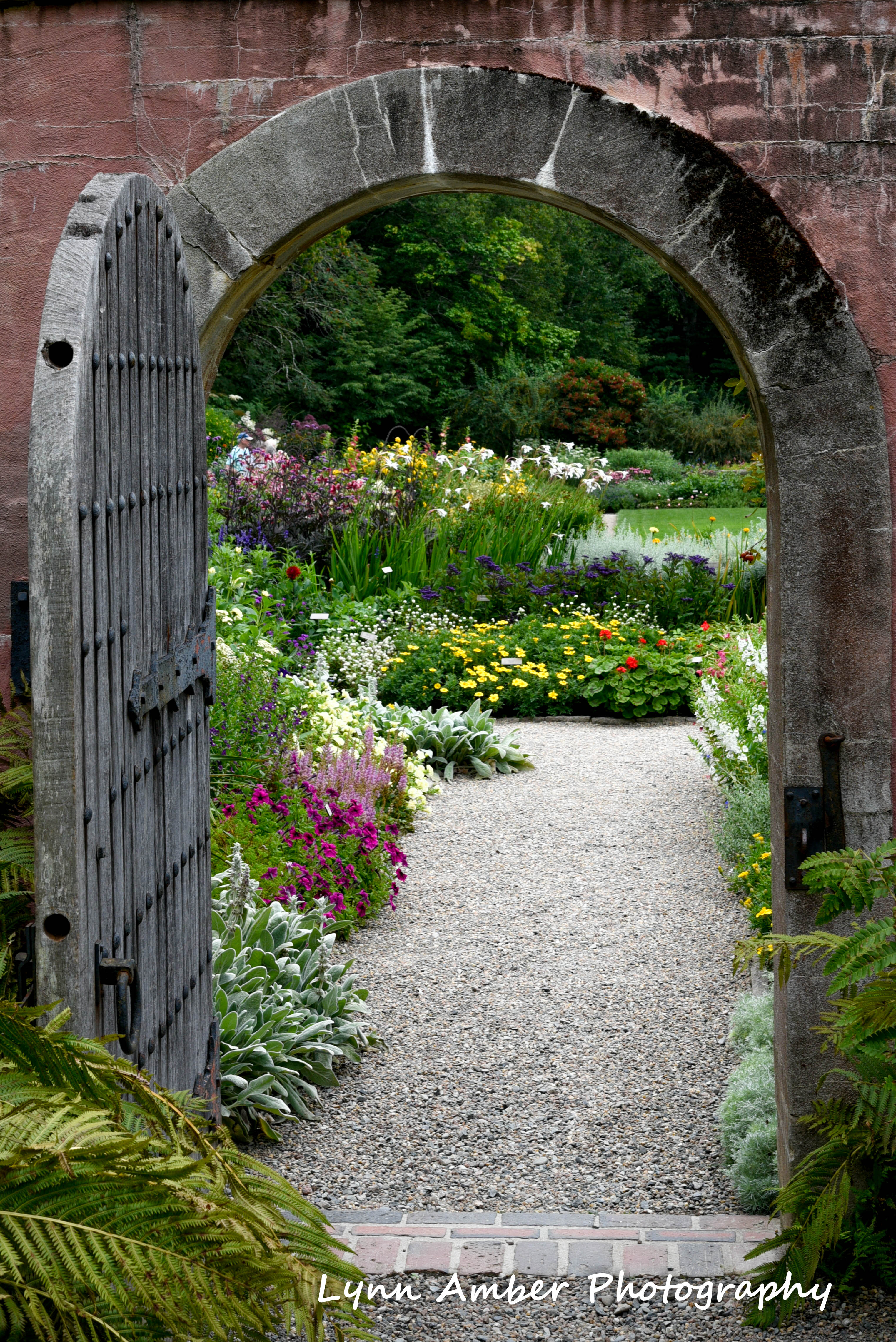 abby aldrich rockefeller garden mdi 2018 (9) (1 of 1)