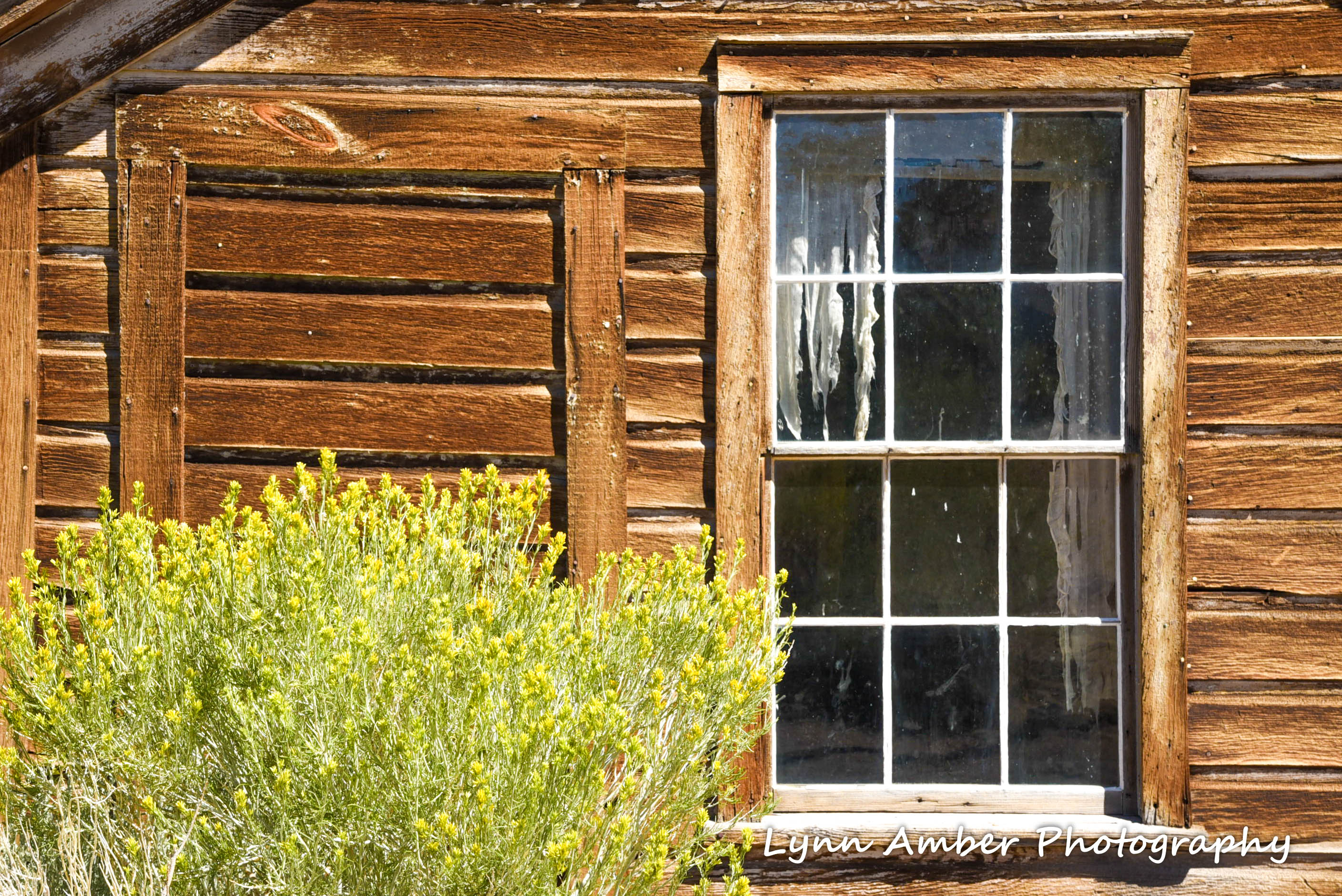 bodie historic village 2 eastern sierras 2016 (1 of 1)