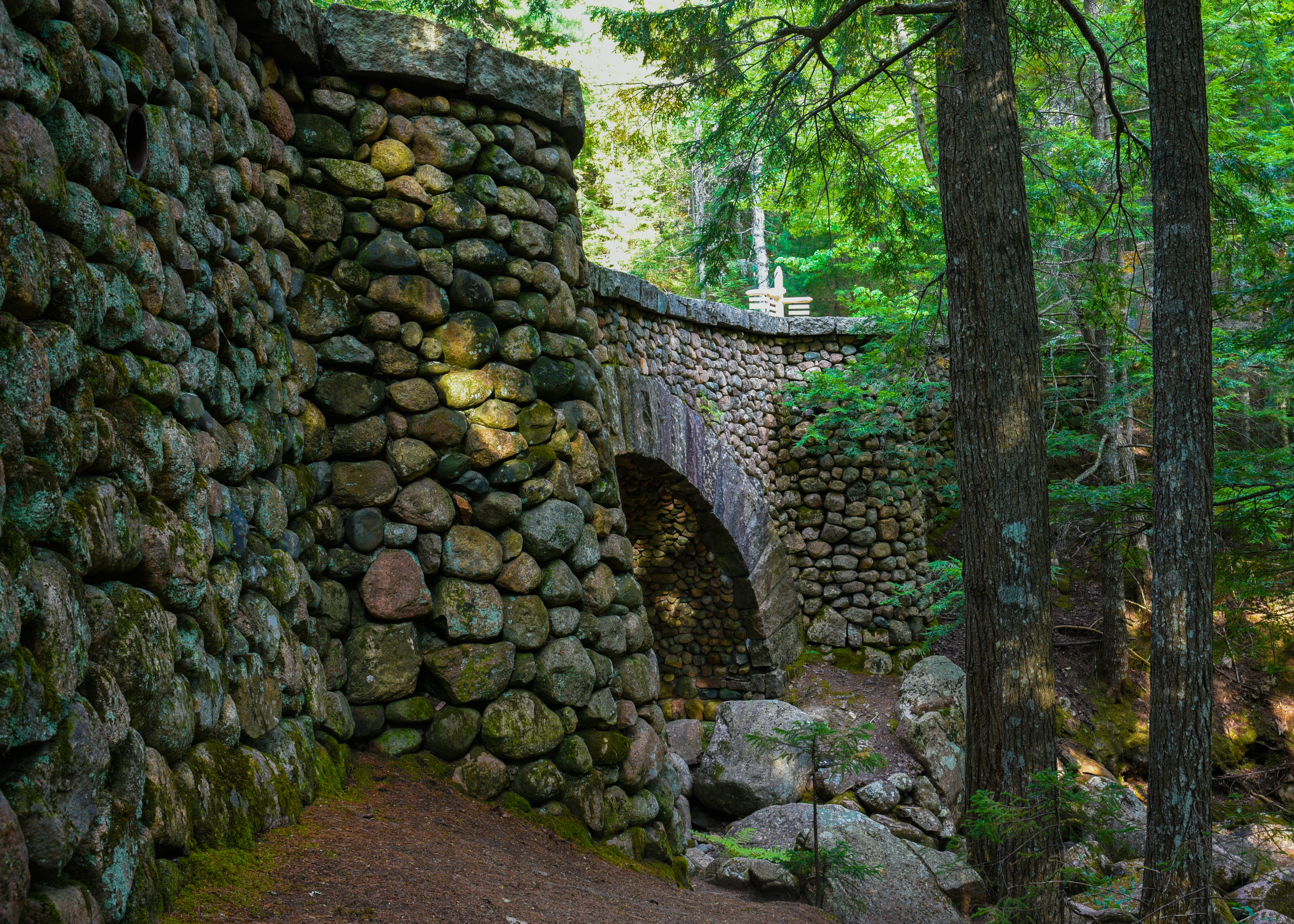 cobblestone bridge acadia np (1 of 1)