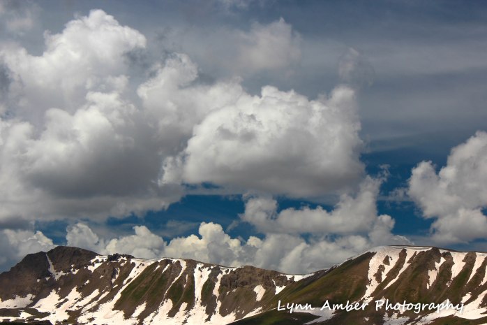 colorado 2014 3 (1 of 1)