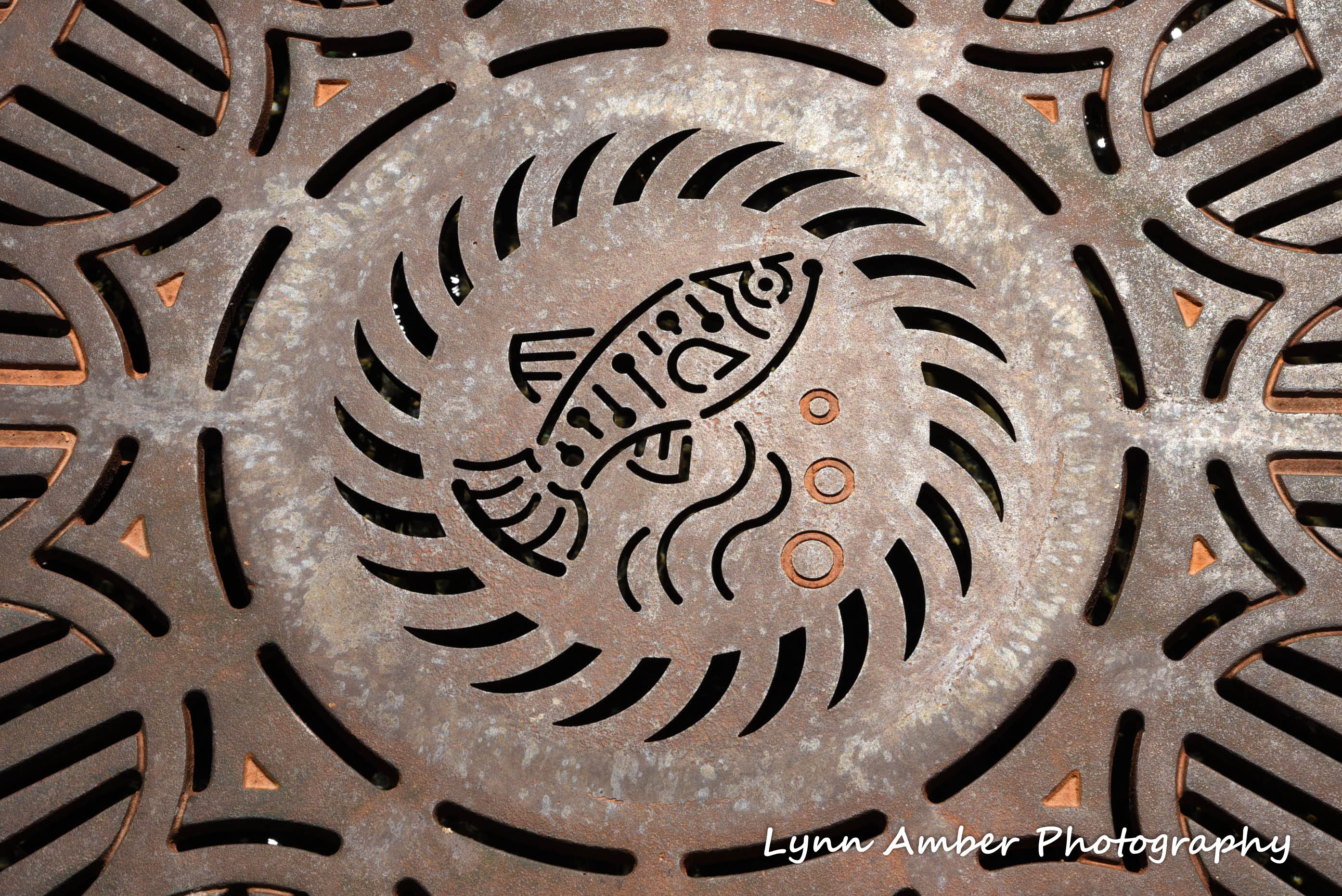 iron work at ash meadows 2016 (1 of 1)