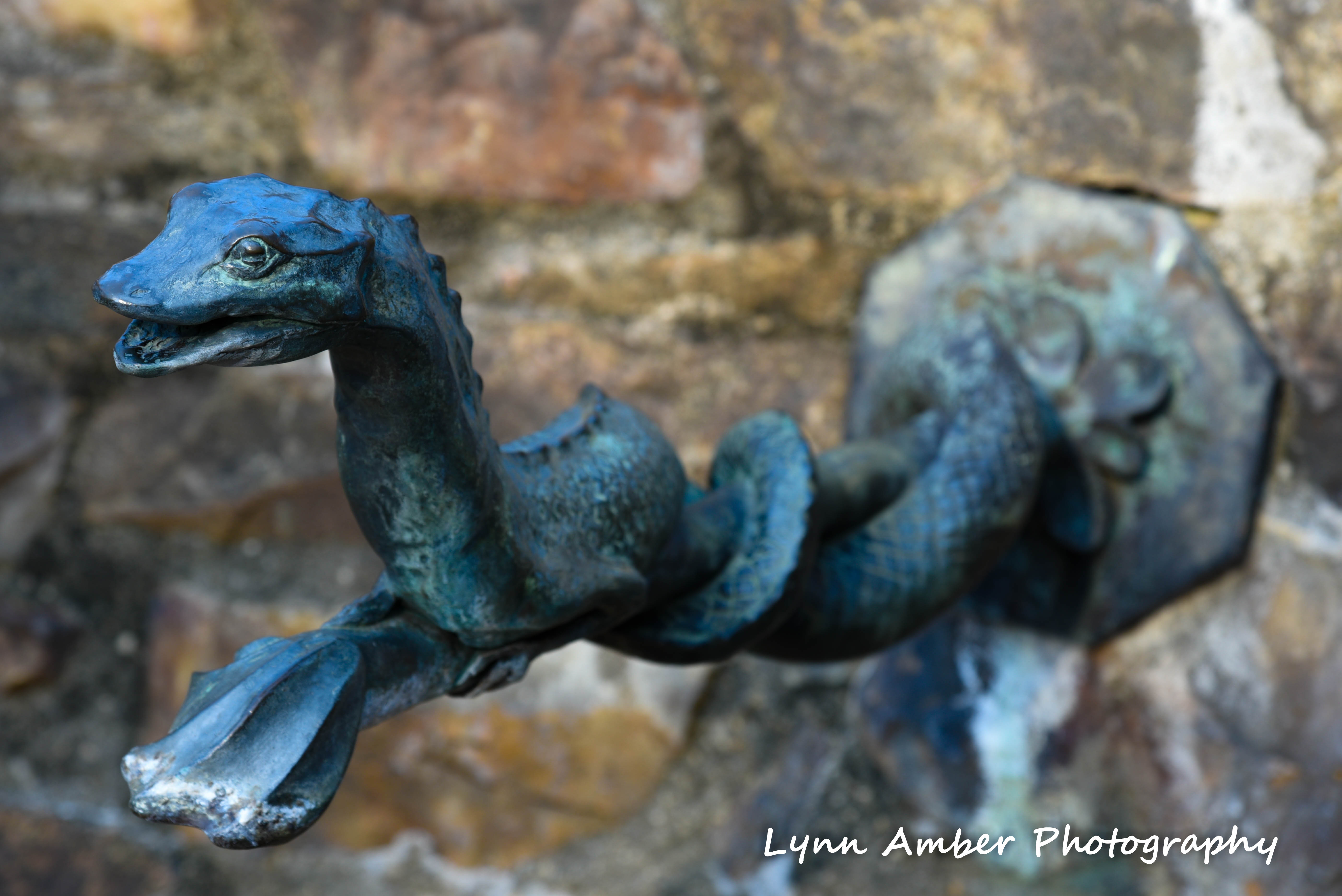 longwood gardens december 2018 (1 of 1)