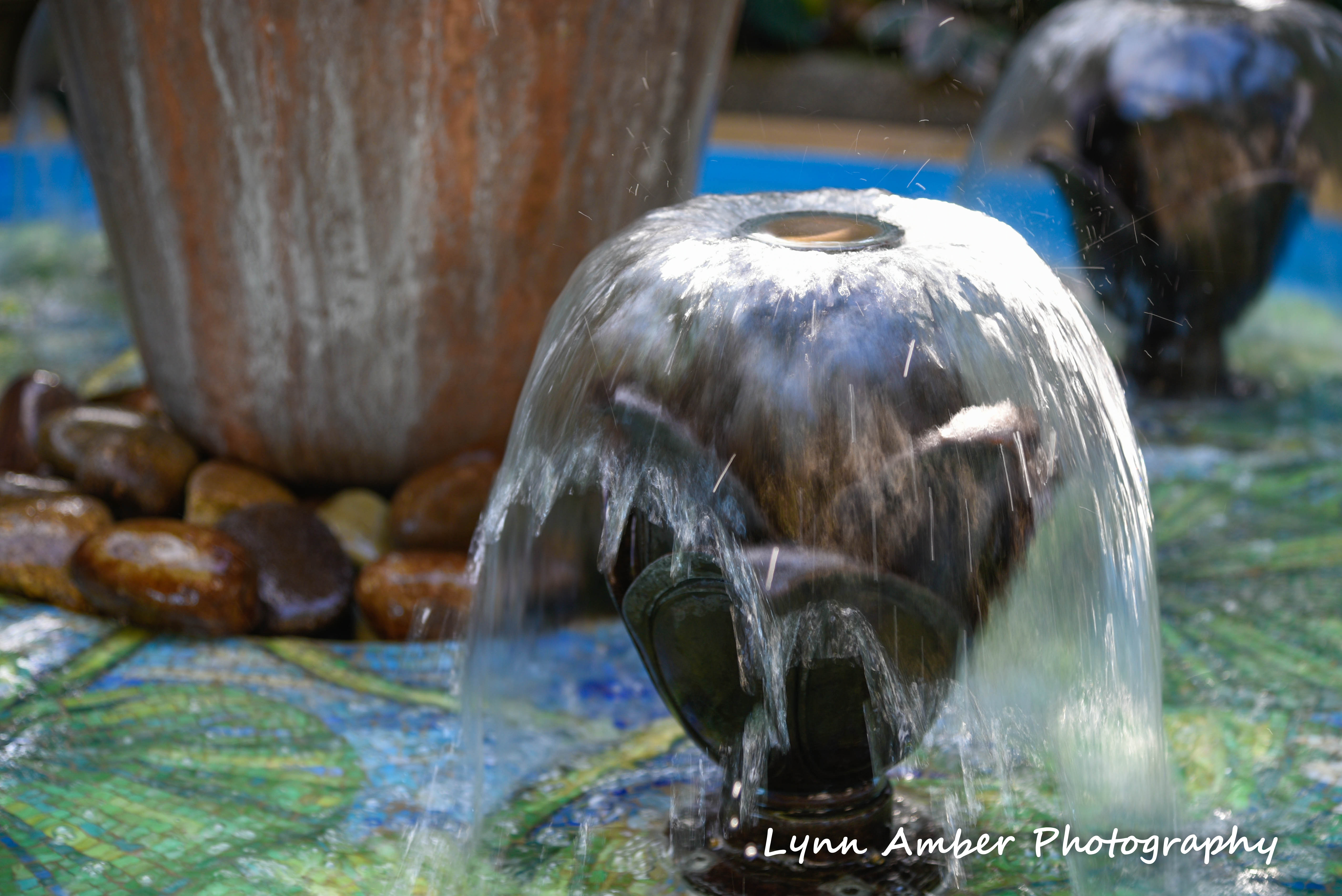 longwood gardens december 2018 (4) (1 of 1)