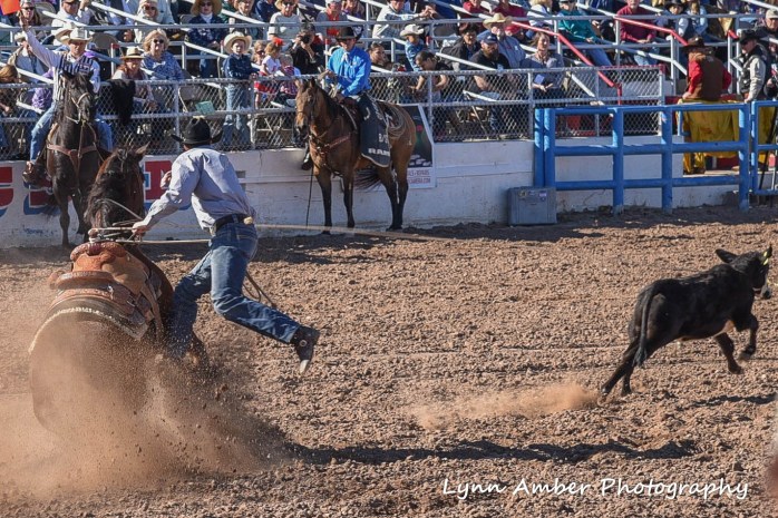 tucson rodeo 2 (1 of 1)